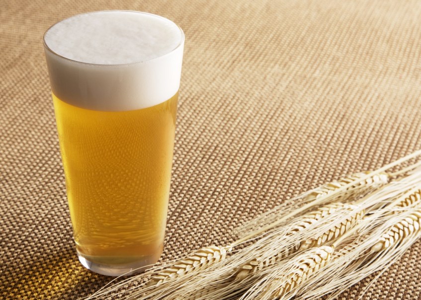 Агроновости: пиво может подорожать из-за неурожая солода