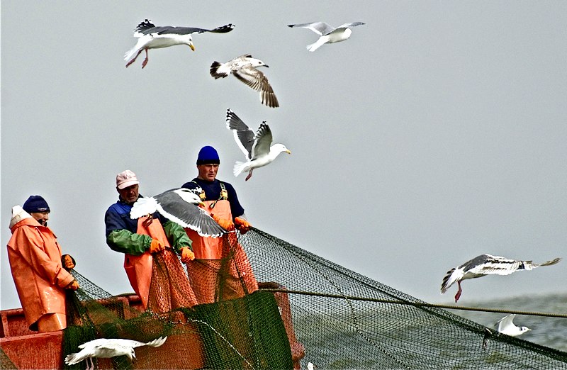 Рекордные уловы: Путину рассказали о достижениях камчатских рыбаков