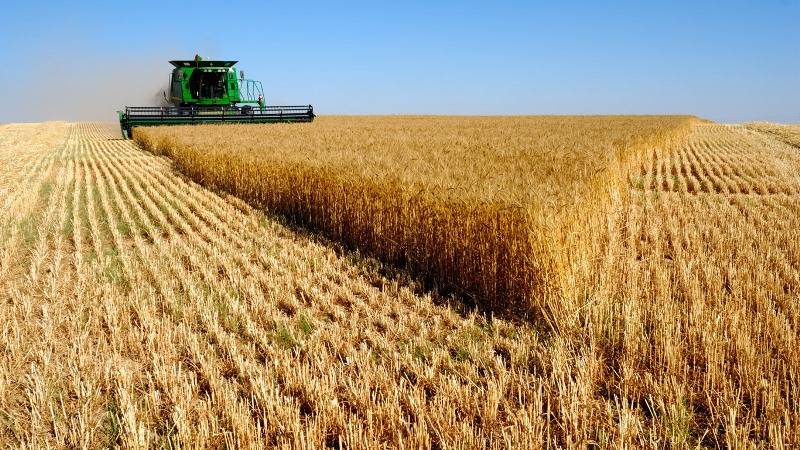 Франция выступает за совместное развитие сельского хозяйства с Россией