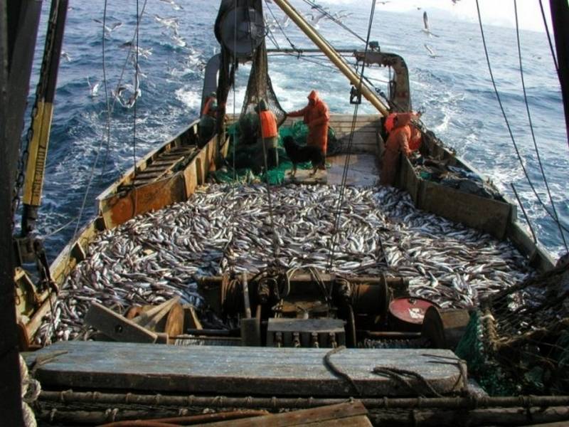 В обход Китая: камчатская рыба пойдет через Севморпуть