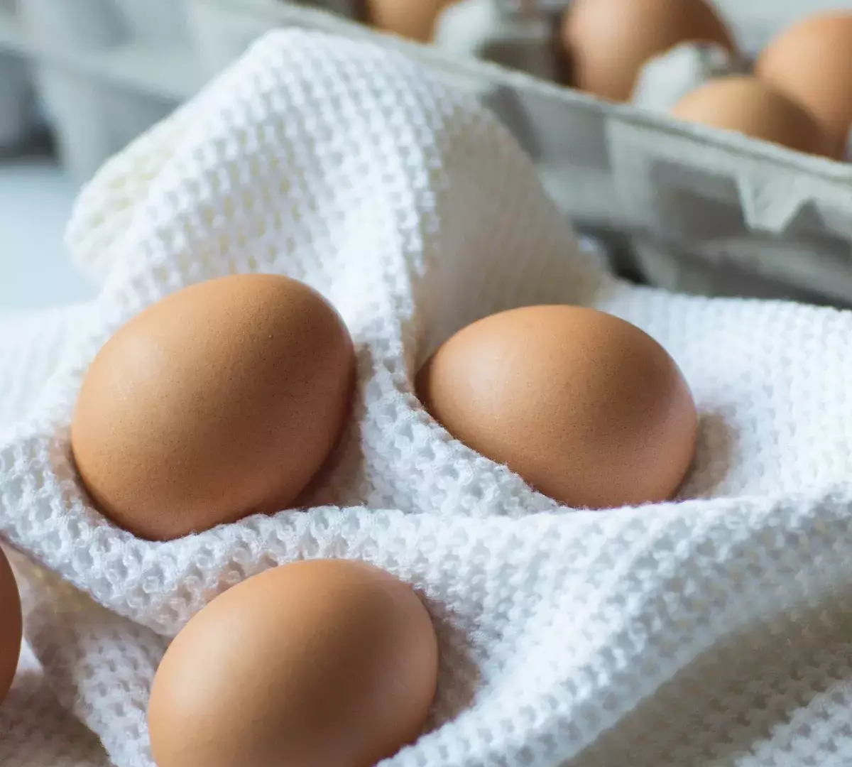 Скачок цен: контрабанда яиц процветает в США из-за высокой инфляции