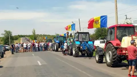 Молдавские фермеры требуют запретить импорт зерна из Украины