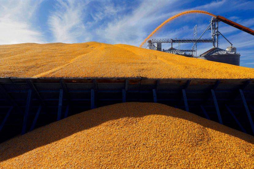 Венгрия: страны ЕС призвали продлить запрет на импорт украинского зерна