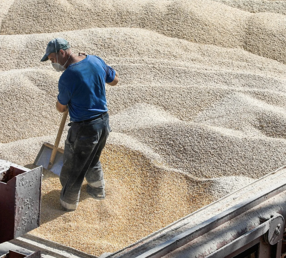 Украина в поисках альтернативных маршрутов вывоза зерна