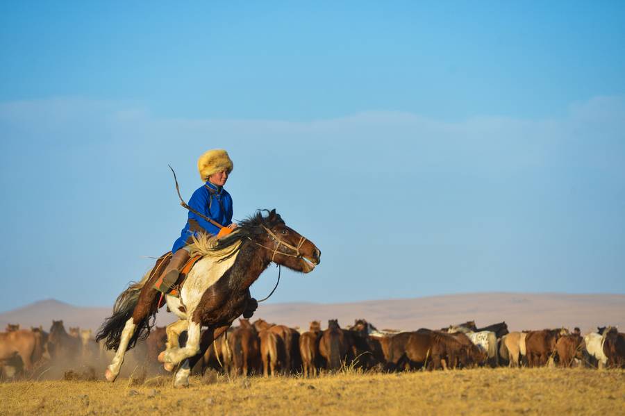 Что потеряла и что хочет найти Америка в дикой монгольской степи