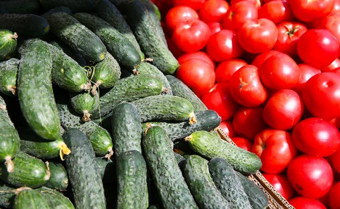 Ингушетия наращивает производство овощей и фруктов – лучше, чем в Европе
