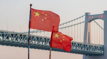 Стратегия прозорливости: соседи позавидовали Китаю и обвинили в шкурничестве