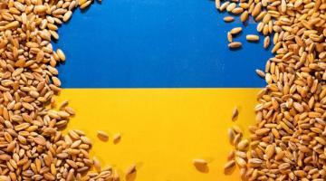 Отмена зерновой сделки. В чём выгода России и проигрыш Украины