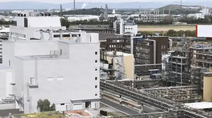 Компенсация за Россию: Берлин раздал миллионы евро рядовых немцев акционерам BASF