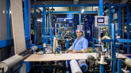 Индия и Шри-Ланка предложили России экстренный выход из трудового кризиса