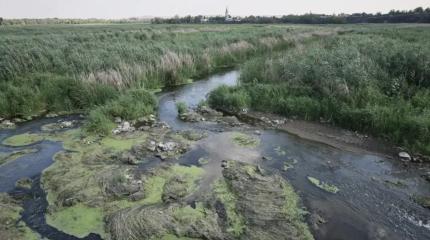 Донбасс без воды: кто виноват и что делать?