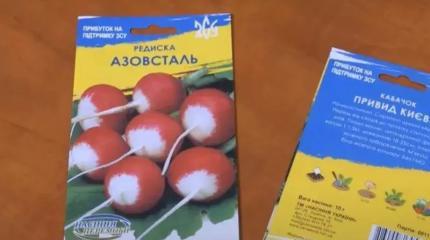 Редиска «Азовсталь», свекла «Бандера». Что теперь сеют на Украине