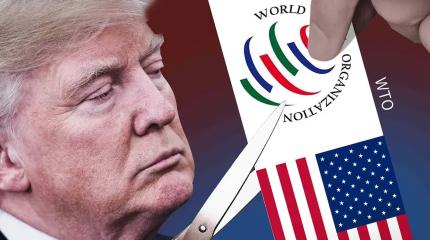 ВТО в состоянии «комы». Возможно ли восстановление?