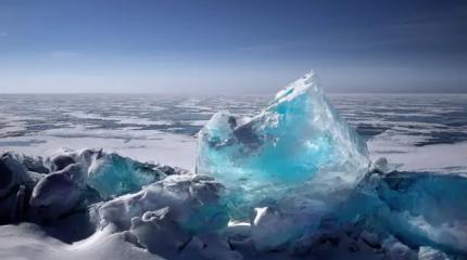 Лес под топор ради инфраструктуры: экологи проиграли битву за Байкал