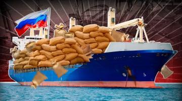 Несколько путей: Россия извлечет важный урок из зерновой сделки с Западом