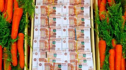 Пенсия — миллион и выше: Куда пойти учиться, чтобы к старости озолотиться