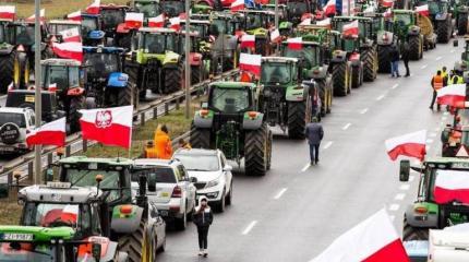 Протесты поляков ширятся, Брюссель просит Киев убрать своё зерно из ЕС