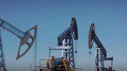 Сокращение мощностей ОПЕК способно привести к росту цен на нефть до 100 долларов за баррель