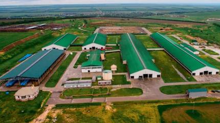 Беспощадная национализация: экс-премьер КЧР остался без «молочной империи»