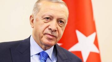 Эрдоган репетирует роль кормильца Европы