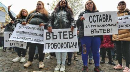 В Болгарии протестуют против транзита украинской сельхозпродукции