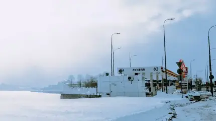 Первый пошел: Болгария начала грабить обездоленный «Лукойл»