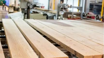 Гигантский завод – банкрот: в Ленобласти пустили на торги стройпредприятие