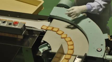 Серийное производство модульных лент для конвейеров запустили в Пермском крае Серийное производство модульных лент для конвейеров запустили в Пермском крае