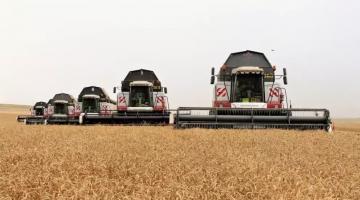 Как Россия может «задавить» зарубежных конкурентов в сельском хозяйстве