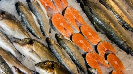 Почему россияне недоедают рыбы