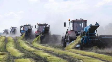 Экономика Белоруссии – в чем причины замедления экономического роста?
