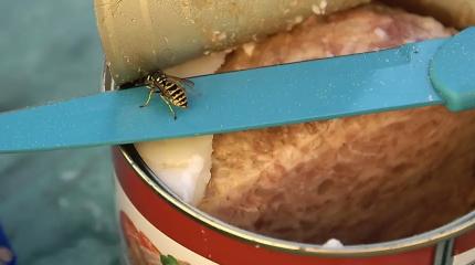 Национализация не панацея: проблемы компании «Главпродукт» никуда не делись Национализация не панацея: проблемы компании «Главпродукт» никуда не делись