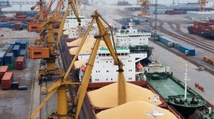 «Абсолютный рекорд»: раскрыли объемы экспорта зерна с Северо-Запада РФ