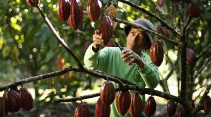 Игнорировать интересы дружественных стран в ЕАЭС недальновидно