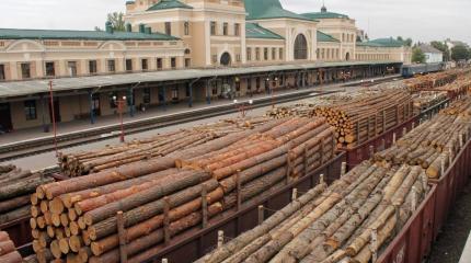 Кругляк останется в России? Матвиенко потребовала ввести эмбарго на вывоз леса