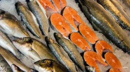 Почему рыба в РФ дороже мяса? Себестоимость – 85 рублей, а продаётся по 550