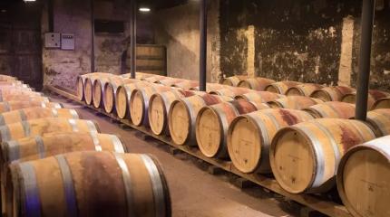 Полный запрет: ЕС все же отобрал у Украины шампанское и коньяк