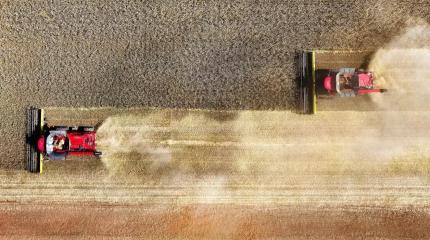 Не вывезли: эксперты поставили диагноз российскому зерну