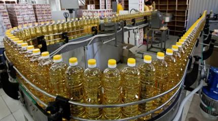 Обошли Украину: Россия добилась нового лидерства на рынке продовольствия