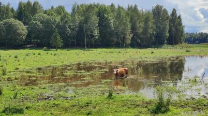 Латвийские военные не дают развивать энергетику в Латгалии