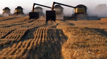 Agrarzeitung объяснил аграрный успех России на мировом рынке