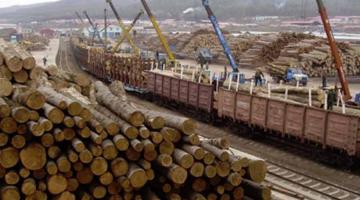 В Казахстане приглядываются к реэкспорту российских лесоматериалов