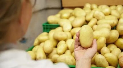 Овощи станут роскошью: в России вчетверо выросла стоимость картошки Овощи станут роскошью: в России вчетверо выросла стоимость картошки