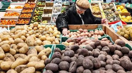 Цены на картошку в России бьют исторические рекорды Цены на картошку в России бьют исторические рекорды