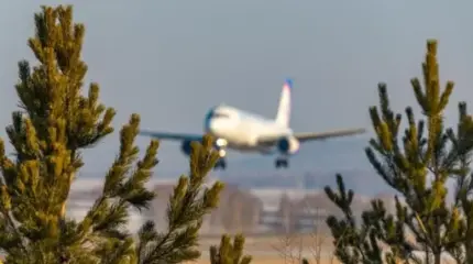 РФ смогла, США – нет: авиакомпания Delta пустила новые Airbus на запчасти