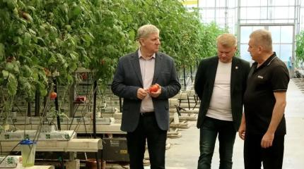 Новая Россия восстанавливает заводы и выращивает овощи