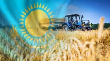 Российское зерно — в лабиринте казахстанской «многовекторности»