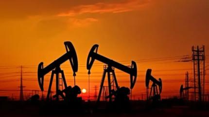 Мировой рынок трясёт: Индия срочно ищет замену русской нефти Мировой рынок трясёт: Индия срочно ищет замену русской нефти