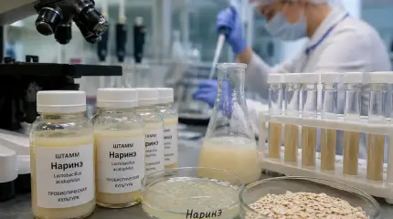 Секрет СССР всплыл спустя век: бактерии из Петербурга покоряют Китай