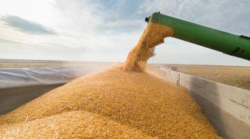 Почему Госдеп не волнует, что зерно из Украины не попадает в бедные страны